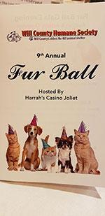 Fur Ball